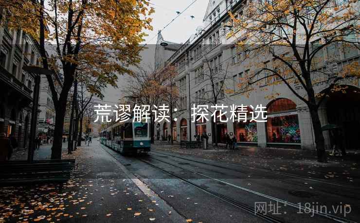 荒谬解读：探花精选