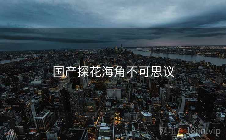 国产探花海角不可思议