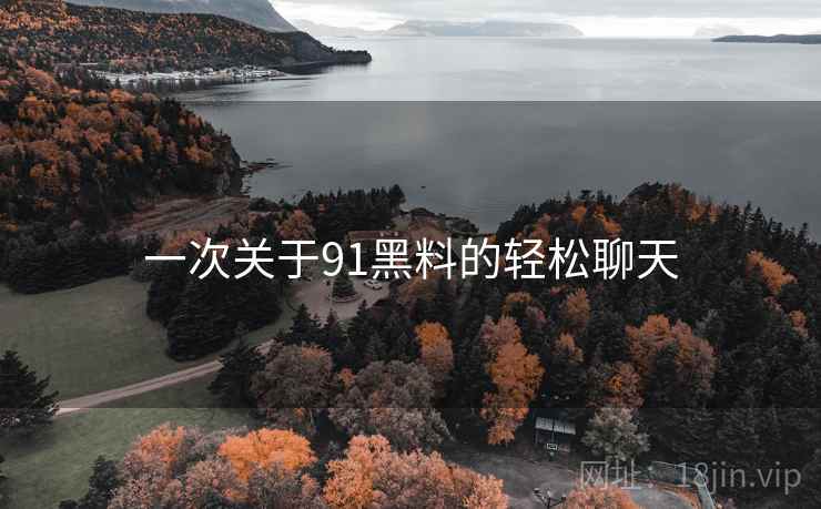 一次关于91黑料的轻松聊天  第2张