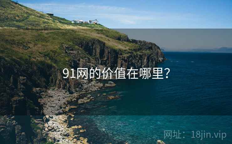 91网的价值在哪里？