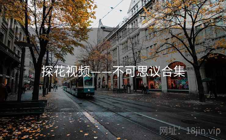 探花视频——不可思议合集