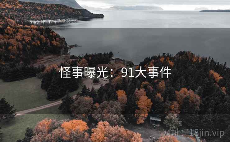 怪事曝光:91大事件