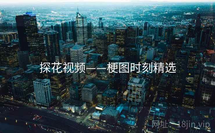探花视频——梗图时刻精选