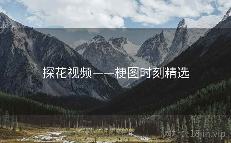 探花视频——梗图时刻精选