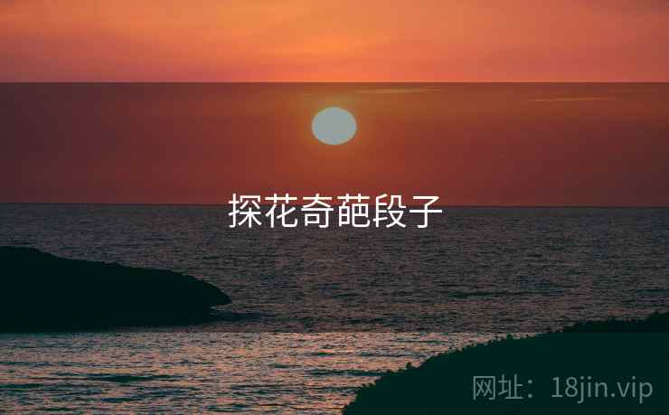 探花奇葩段子