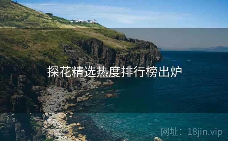 探花精选热度排行榜出炉