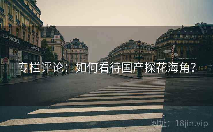 专栏评论:如何看待国产探花海角?