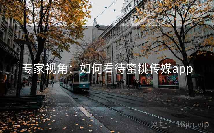 专家视角:如何看待蜜桃传媒app