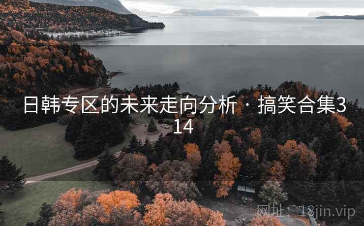 日韩专区的未来走向分析 · 搞笑合集314
