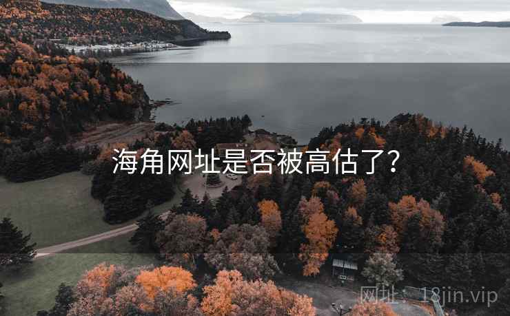 海角网址是否被高估了?