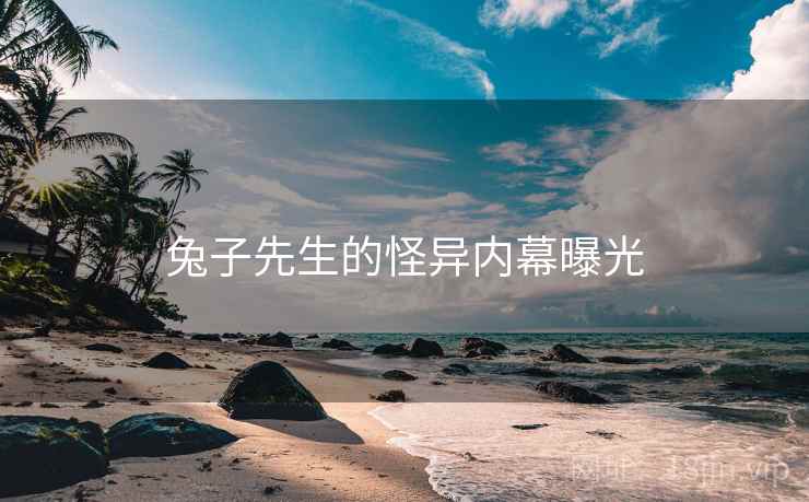 兔子先生的怪异内幕曝光