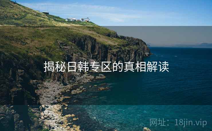 揭秘日韩专区的真相解读