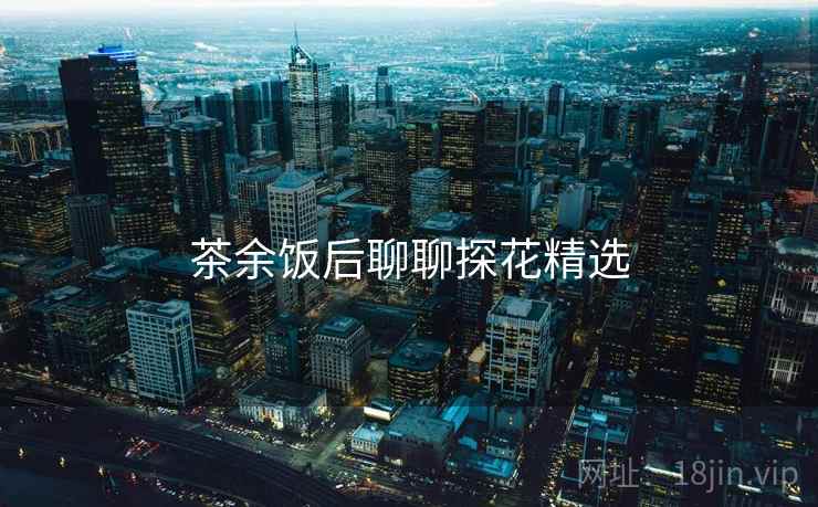 茶余饭后聊聊探花精选
