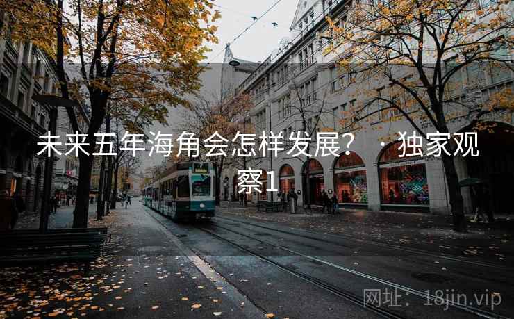 未来五年海角会怎样发展？ · 独家观察1